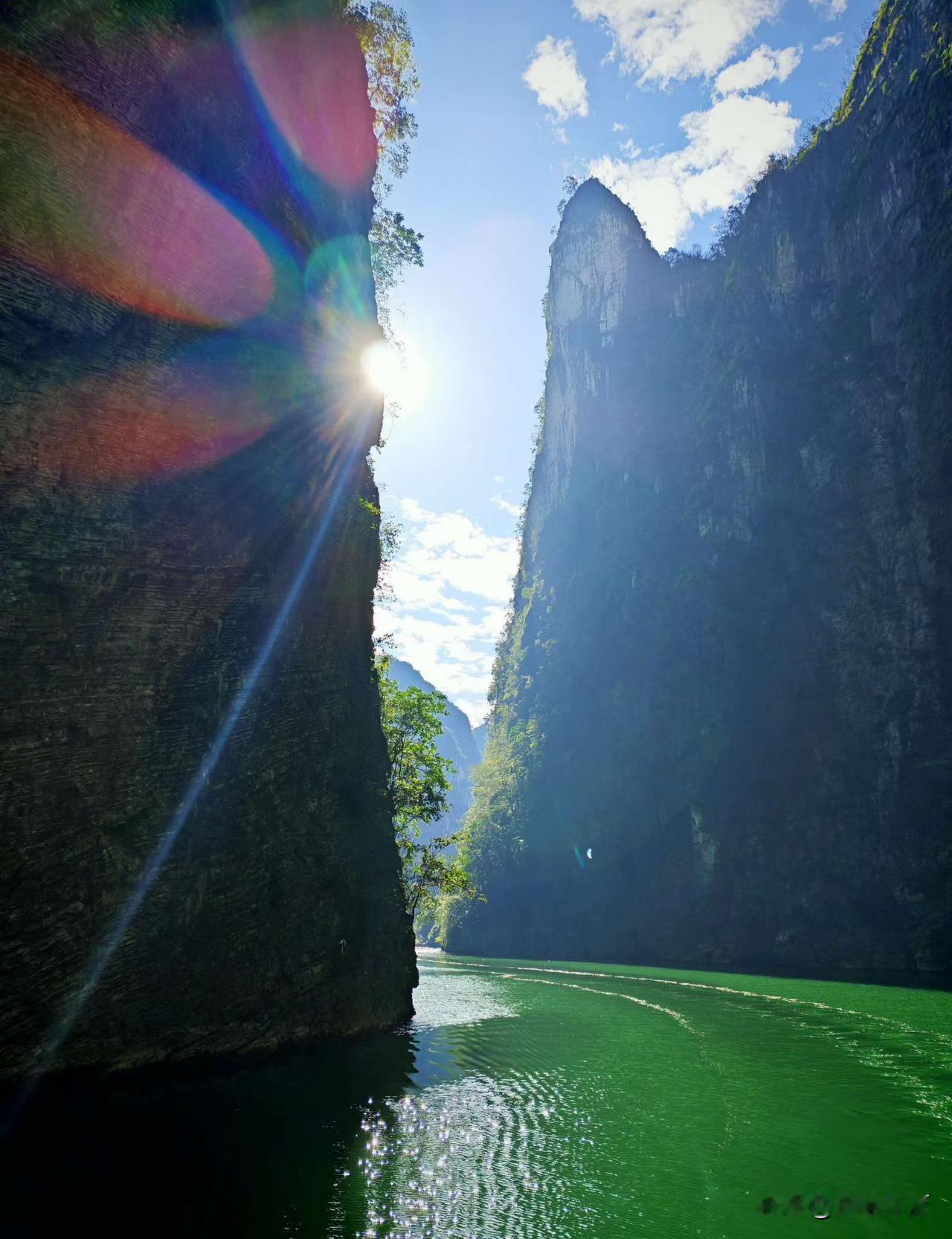 他递过化验单说“我没病”，她转身擦掉眼角的盐。
中国每三对“室友夫妻”，就有一张