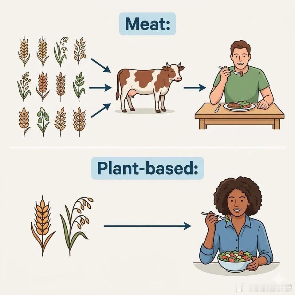 与其用植物喂饱动物再吃肉，不如直接吃植物。同样的资源，能养活更多人，也更人道。 