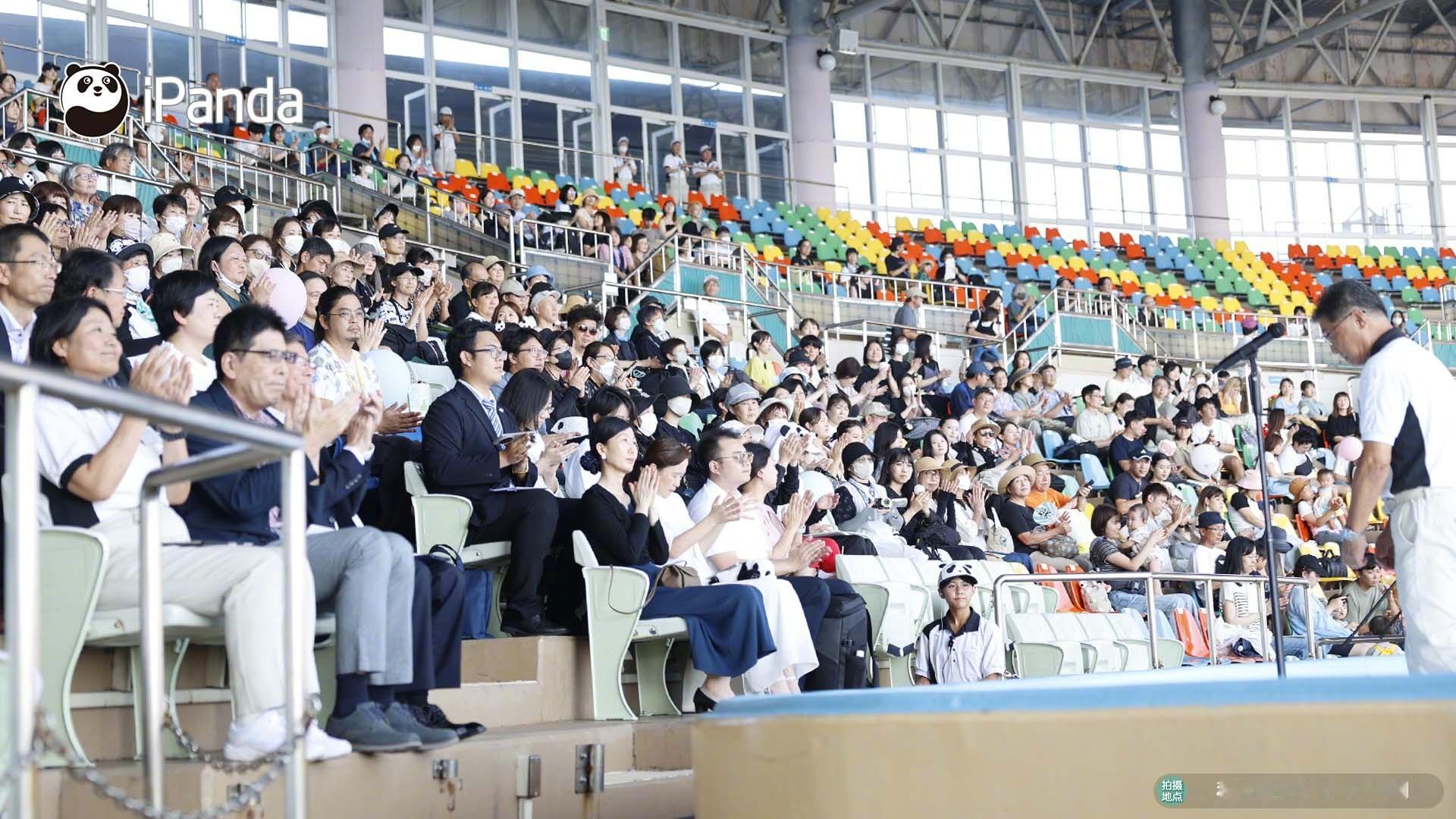 #大熊猫文化周# 9月6日，“庆祝大熊猫中日联合繁育研究30周年系列活动”在日本