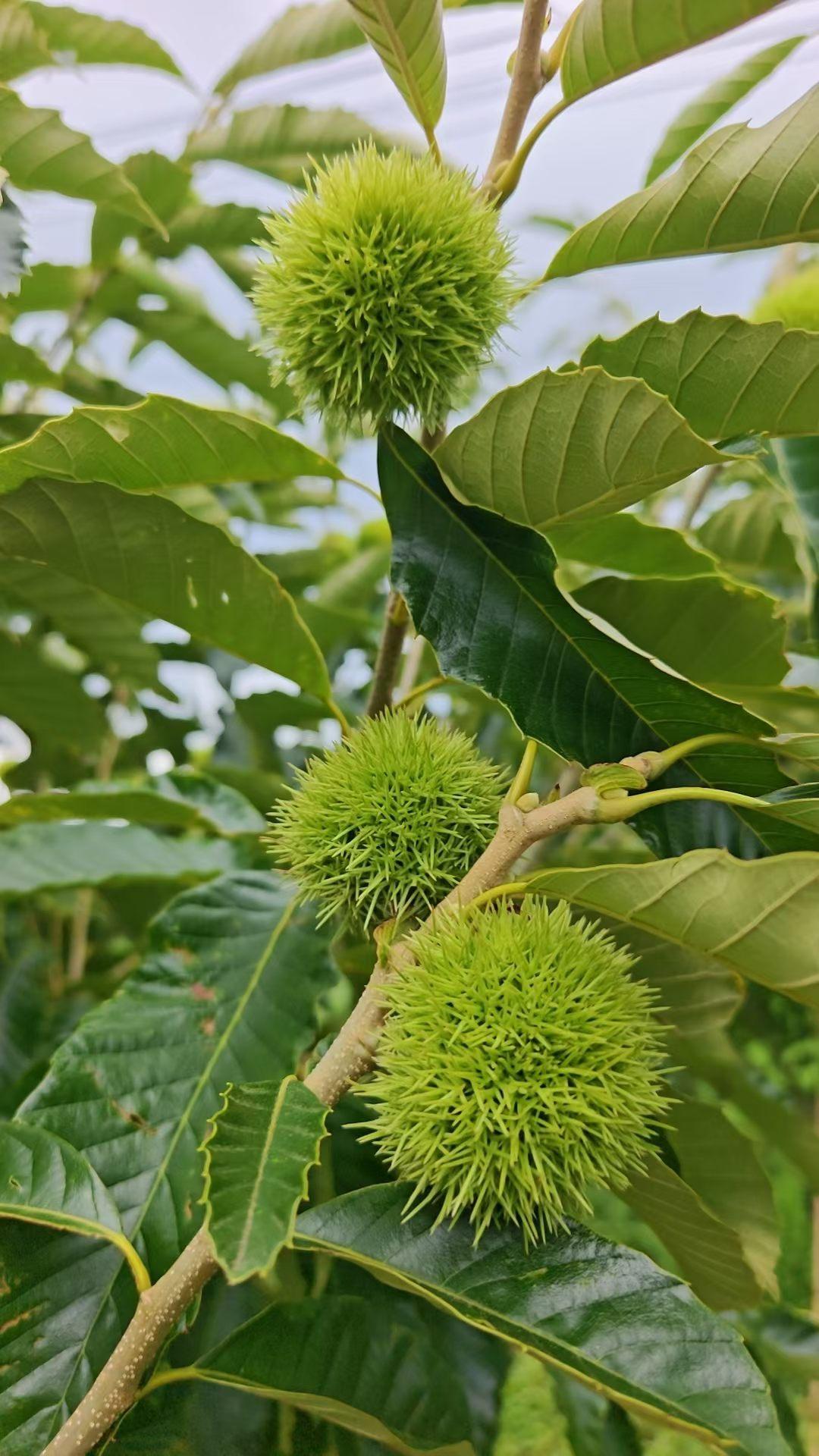 分享一下你随手拍下的照片