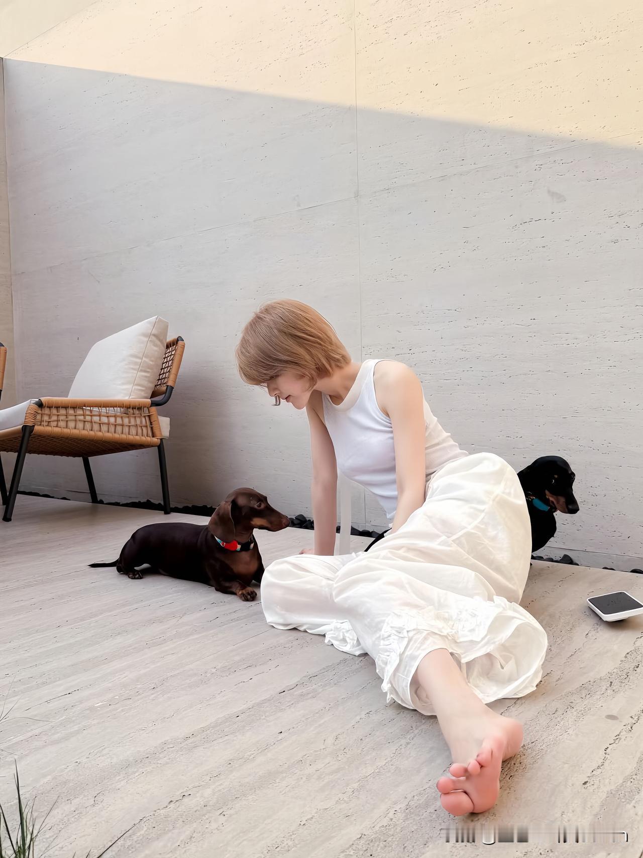 赵露思：小狗相伴的闲适时刻