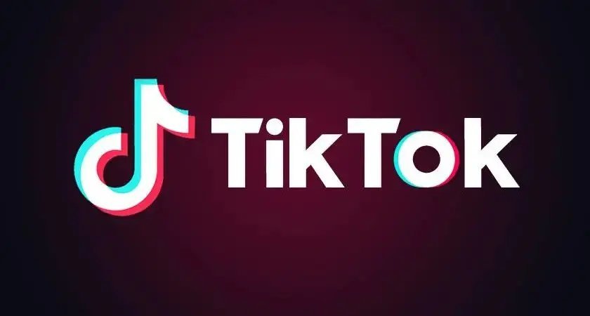 外媒称TikTok将硬刚美国禁令  该话题应该这么理解：外国网友集体硬刚美国政府