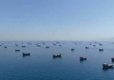 全球都没想到，伊朗突然全面关闭霍尔木兹海峡，任何船只试图穿越都要被打
 
6月1