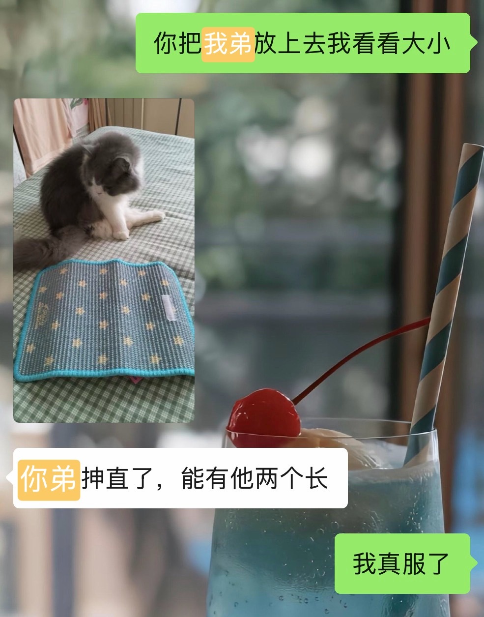 rdd那个猫抓板 家里猫大于5斤的可以不用买了
