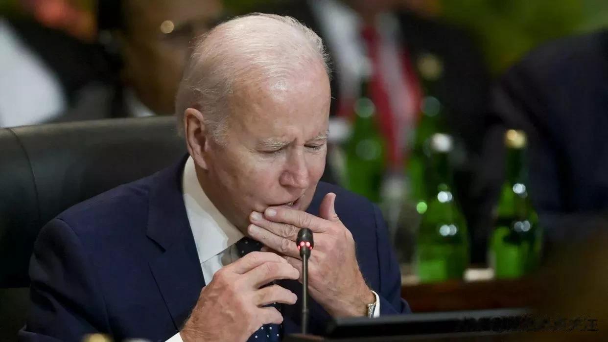 媒体：美国因俄罗斯歼灭“豹”式坦克感到不安

来源:俄罗斯卫星通讯社

美国记者