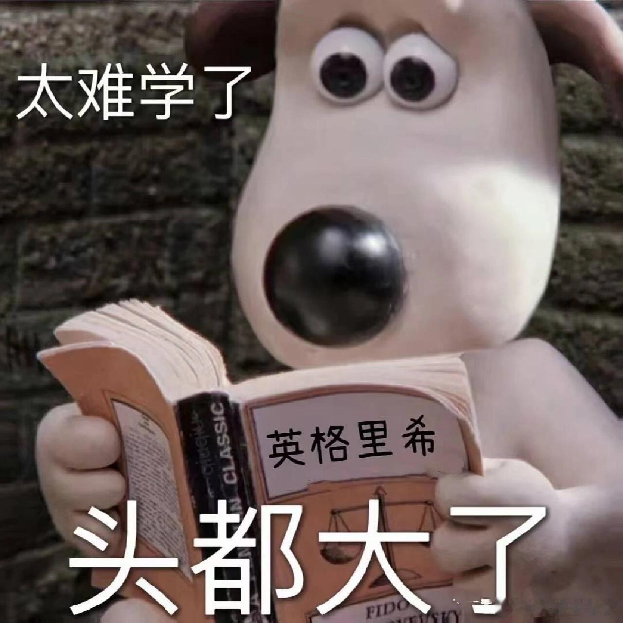 不知道大家觉得今年高考英语好不好考，但英语吧，始终都是我一生之敌，也不是说不想学