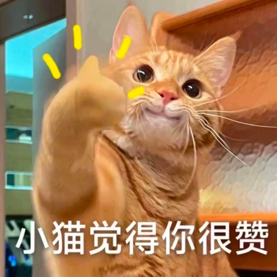 浙江这个全国百强县用了十年让高铁开上了海岛耗费整整十年时光奋力攻坚，浙江百强县玉