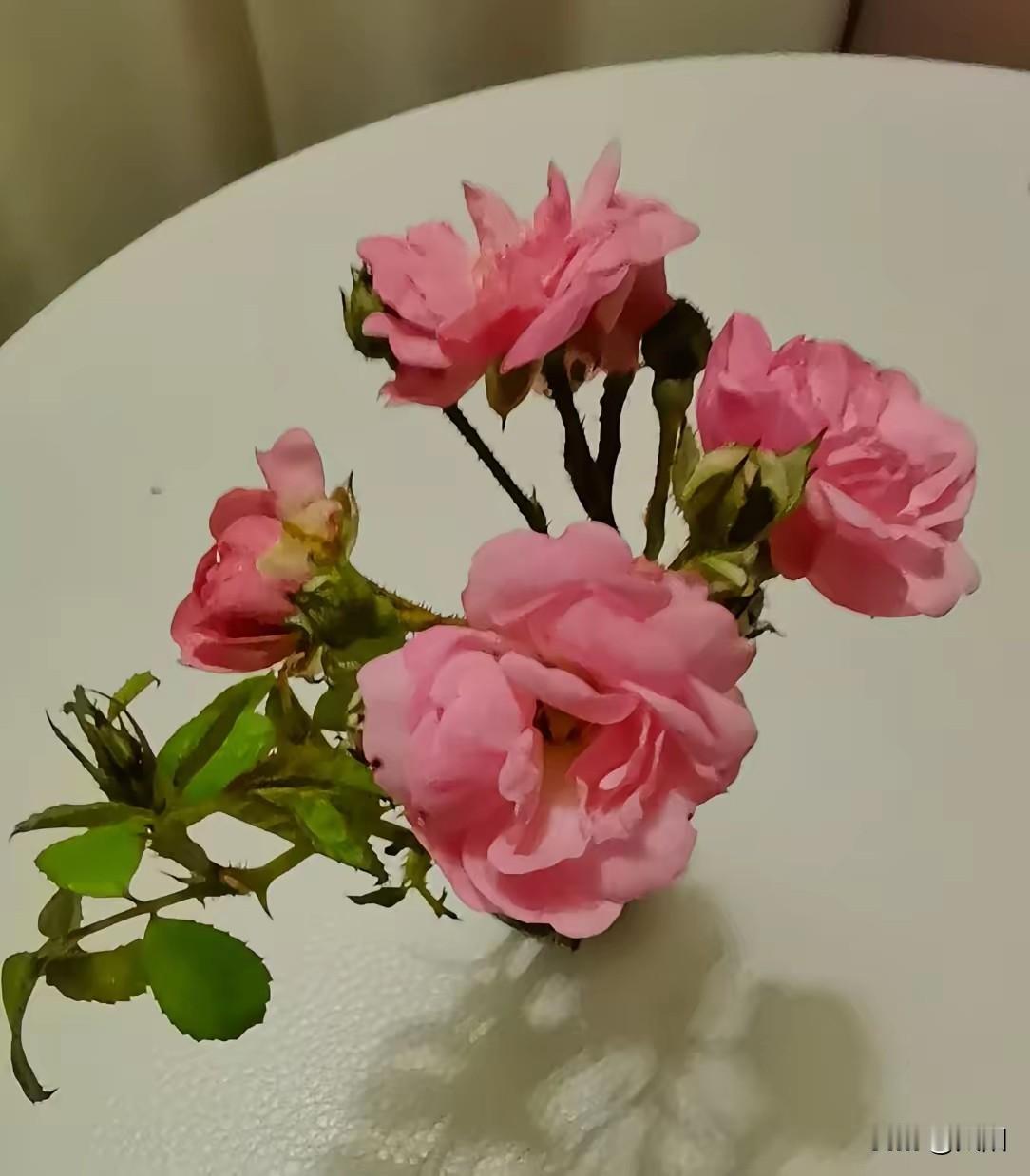 女人一定要上班！底气这东西，自己挣来的才实在
 
跟你们说句大实话，女人真的得有