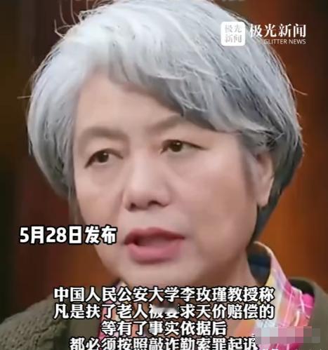 “不够判刑，那就高额罚款！”中国人大李玫瑾教授去年建议，凡是扶了老人被要求天价赔