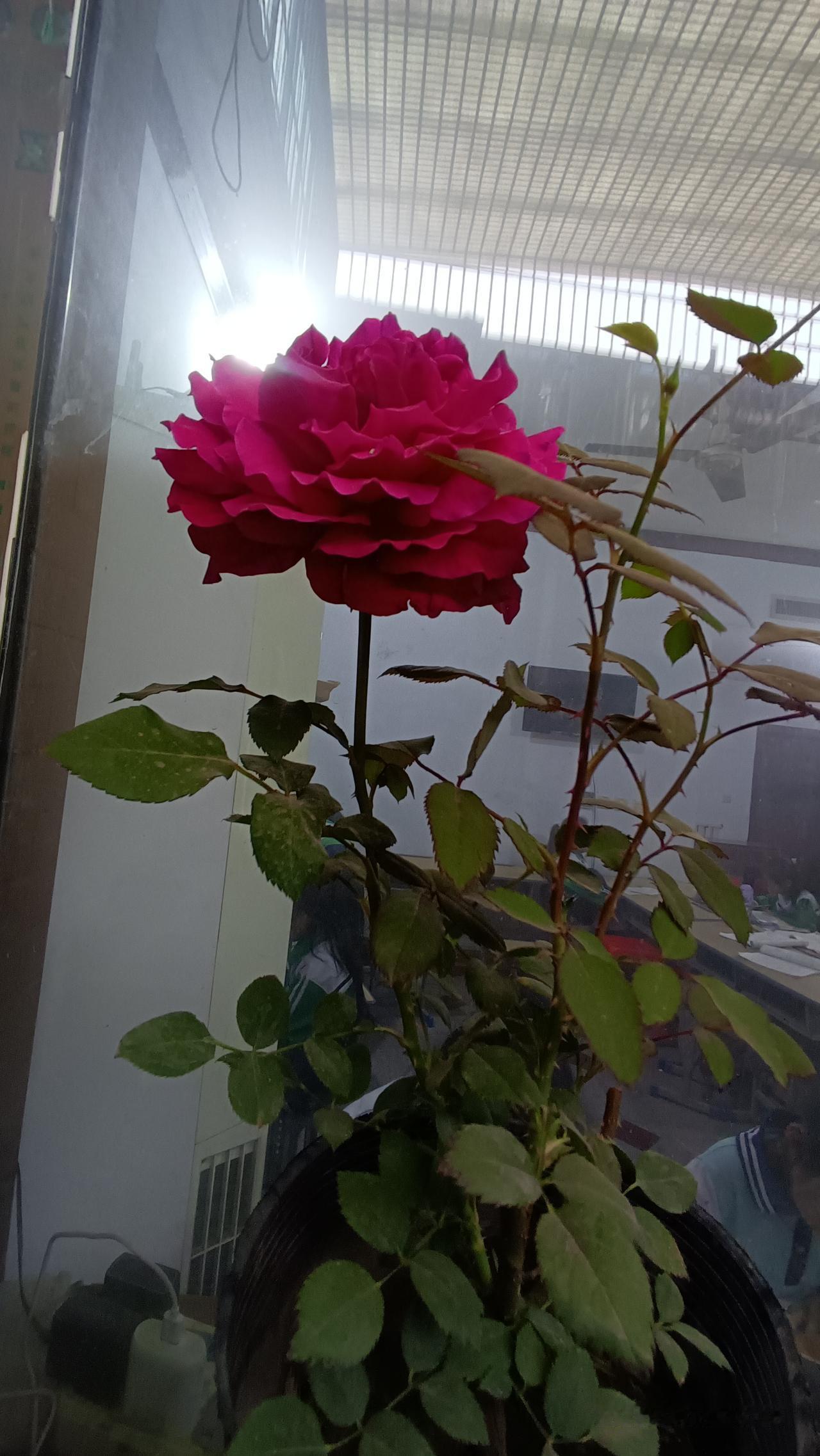 男人啥时候才肯说真话？多半是豁出去了
 
你说大彻大悟时会说真话，
这话戳到点子