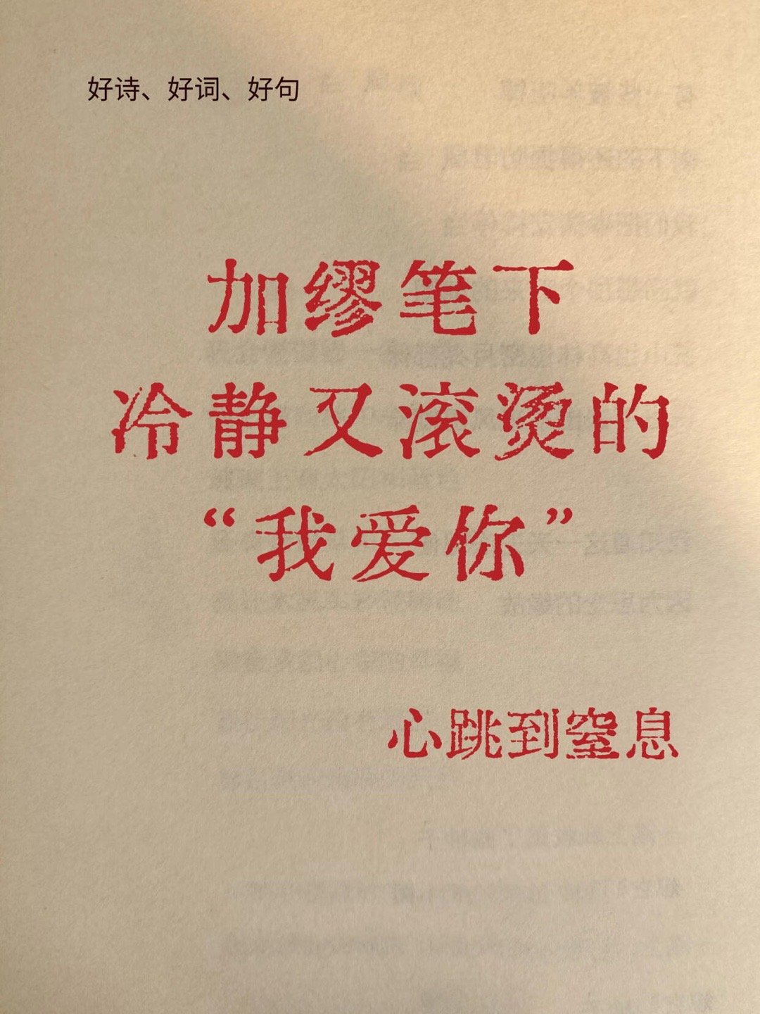 加缪笔下冷静又滚烫的“我爱你” ​​​