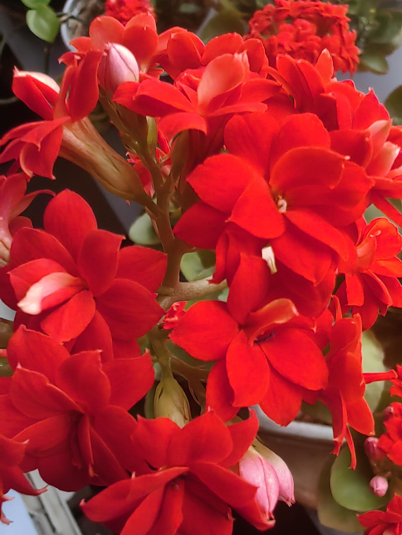 记录我的2026今天3月8日，不只是女神节，更是属于每一个认真生活的你的日子。不