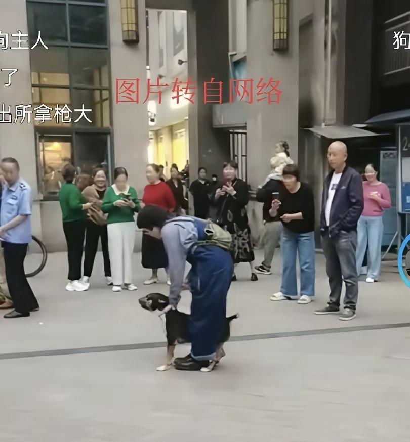 听过最大的笑话就是狗主人夸自己的狗不会咬人，真的无法理解这些人为啥在人口密集的小