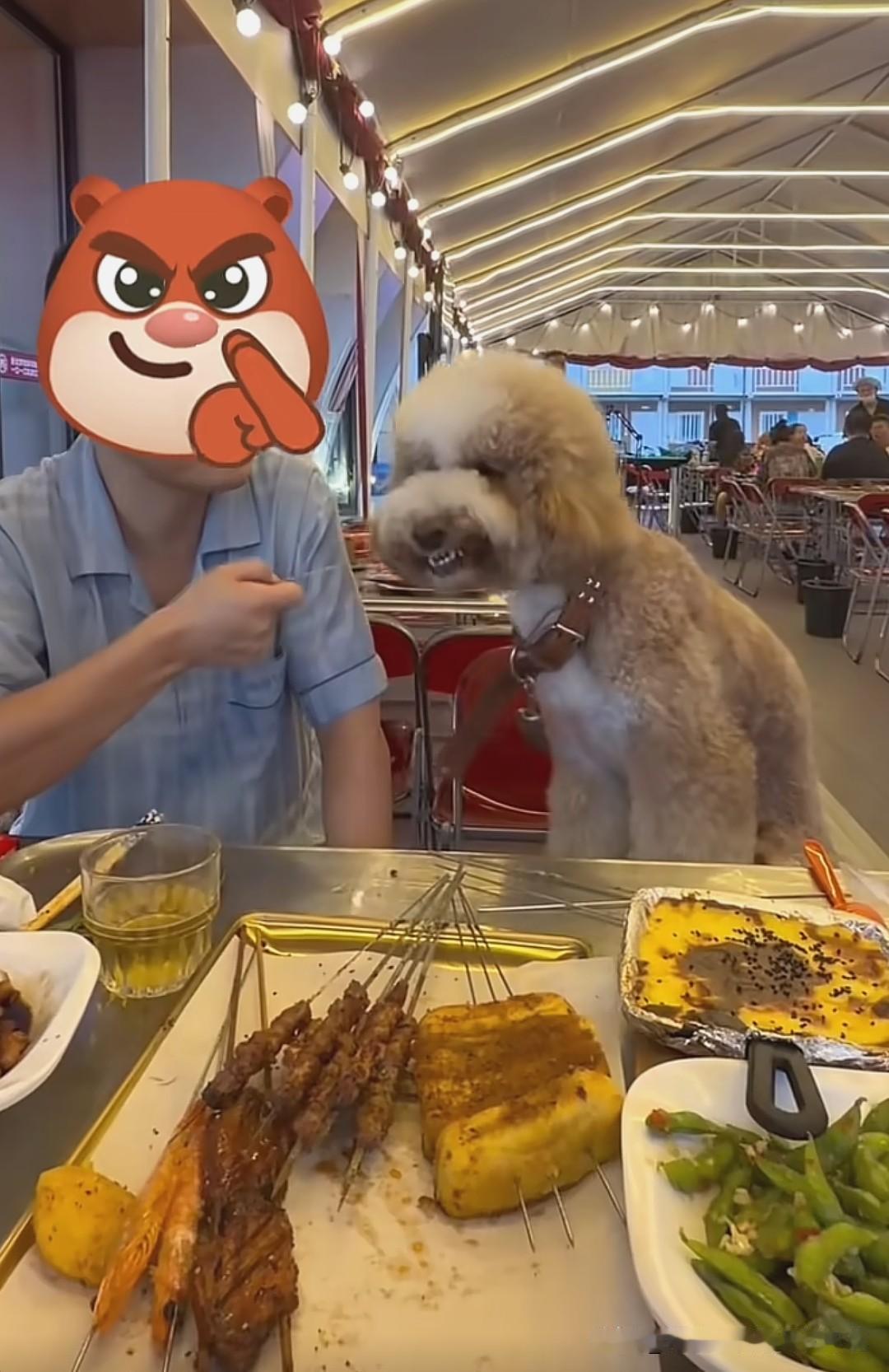 这就是养宠人的素质，简直闹麻了！狗不仅上桌，还撸串，吃得津津有味，狗主人也喂得其