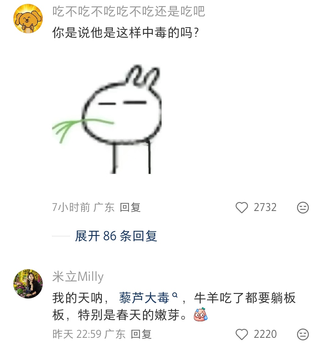 在野外别随便把🌿含嘴里