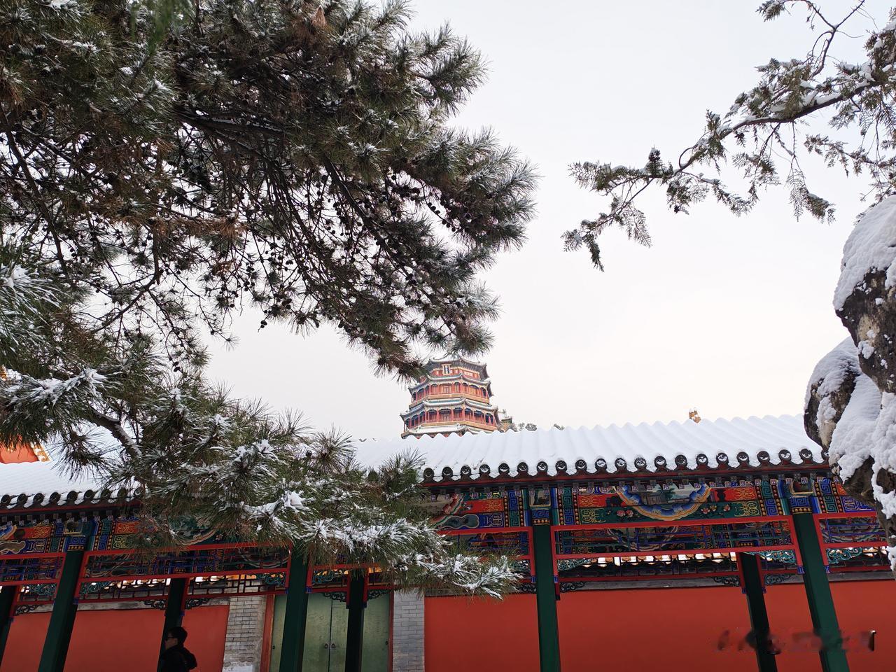 夏雨滋荷花
冬雪润大地