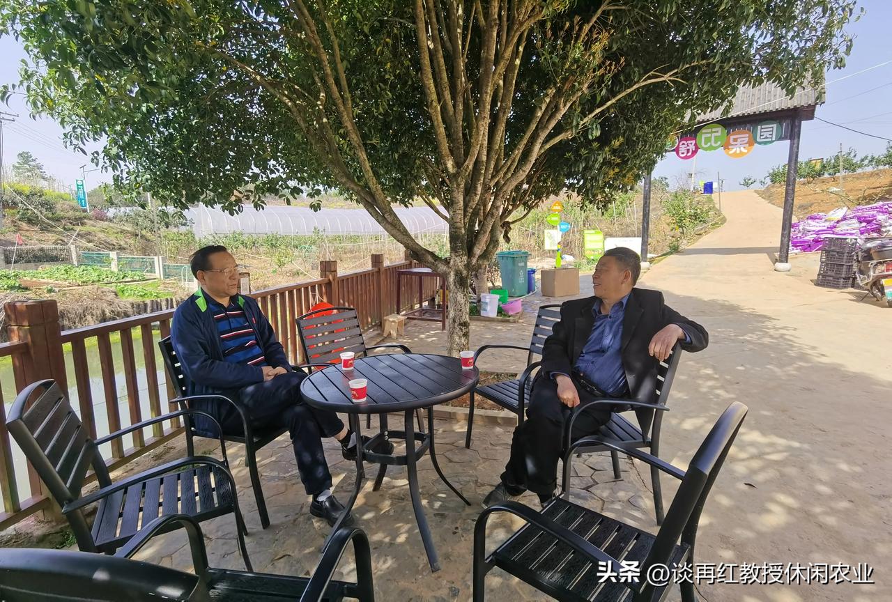今后的旅游是“高铁（飞机）+汽车周边游”的发展时代。现在公共交通非常便利，湖南到