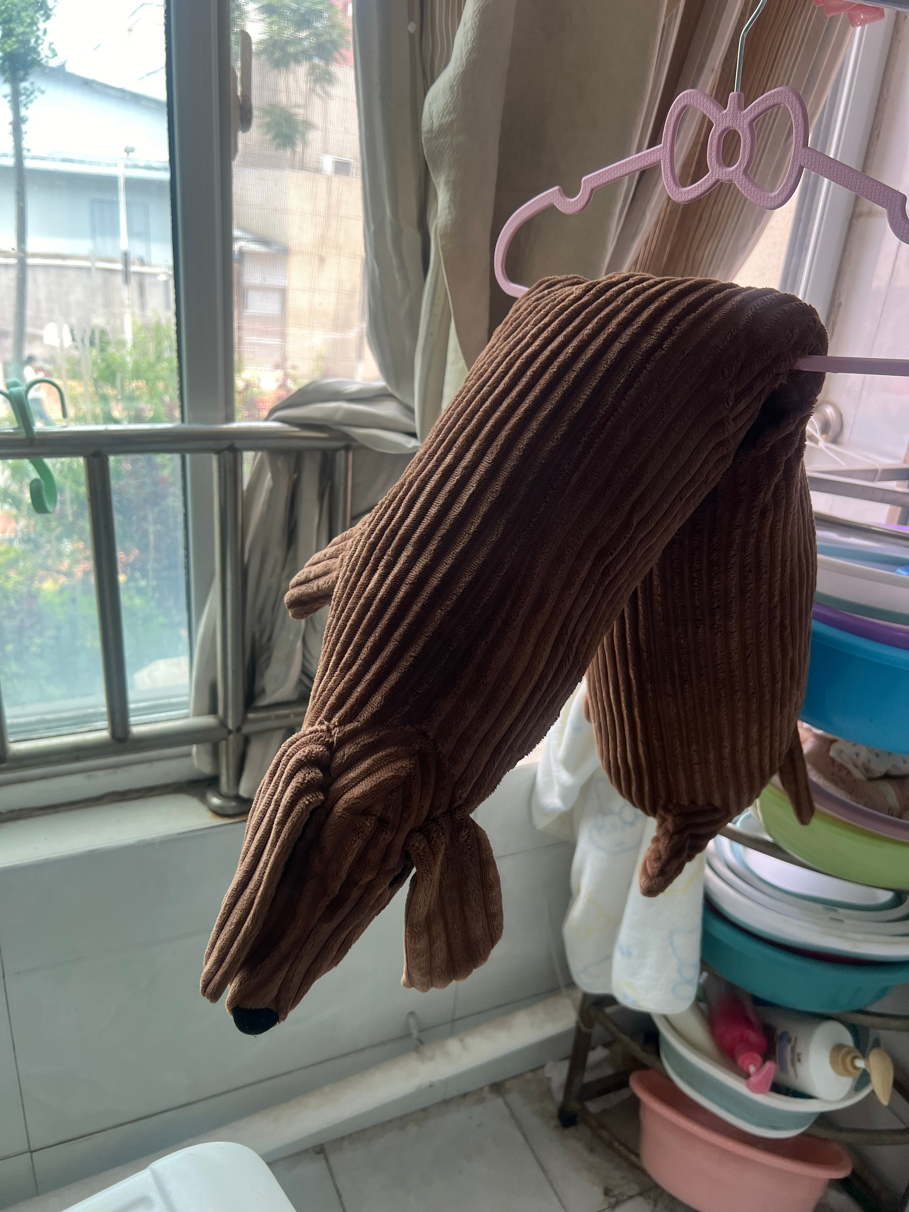 狗泥嚎。 