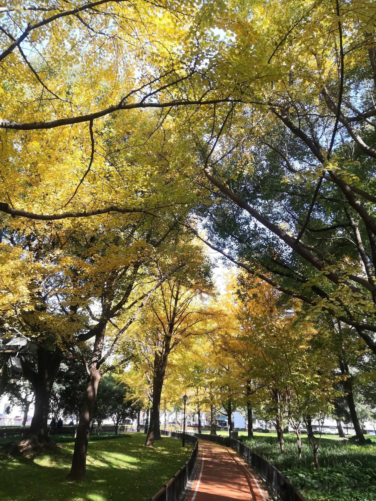 早上好！
子贡问怎样交朋友。孔子说：“忠诚地劝告他，善意地引导他，他不听就立刻停