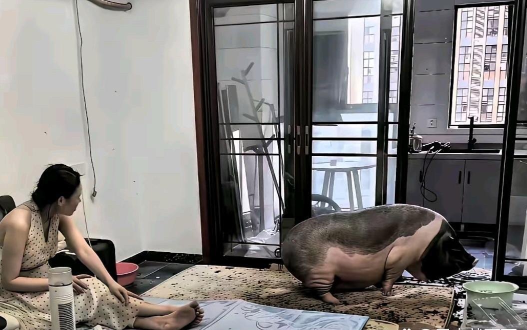 我的天呐这真的有人能受得了吗 