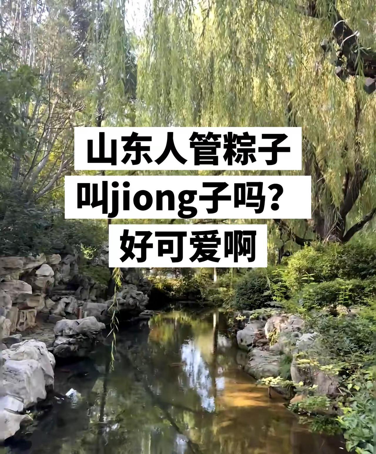 山东人管粽子叫jiong子吗？好可爱啊山东话 山东方言 山东人 山东dou知道