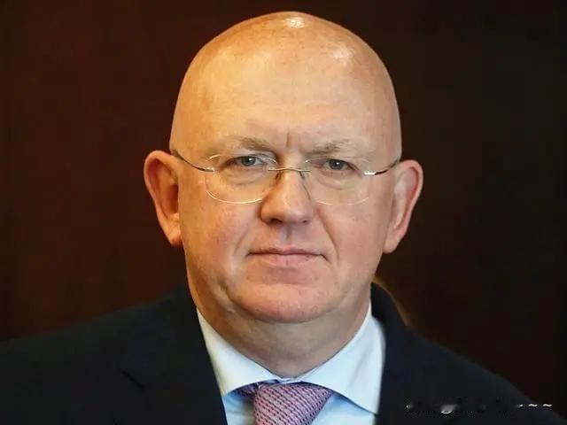 痛批！联合国关于美国侵略委内瑞拉的紧急会议结束了，看了一下俄罗斯代表的发言，那简