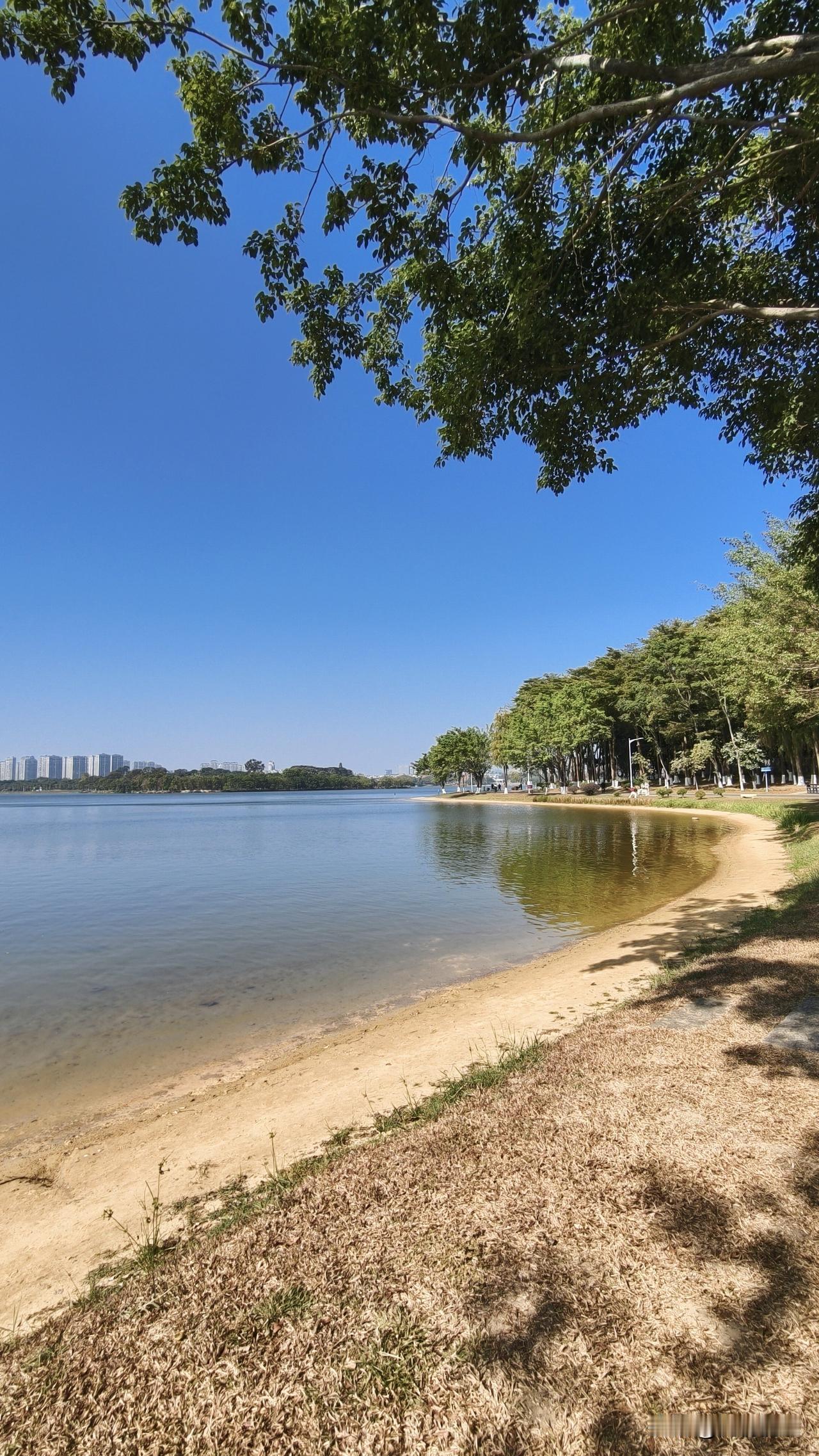 冯唐说：“低级的女人才依仗姿色，高级的女性最大的底气，是学习能力，了解一百个关键