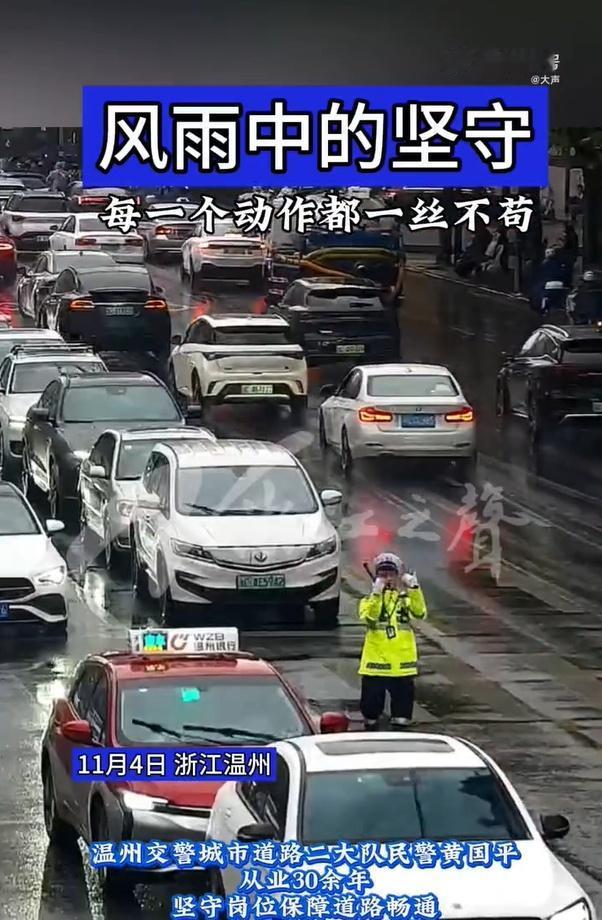 浙江交警风雨无阻坚守路口30年冰冷的雨幕，因他挺拔的身影而泛起暖流。这日复一日的