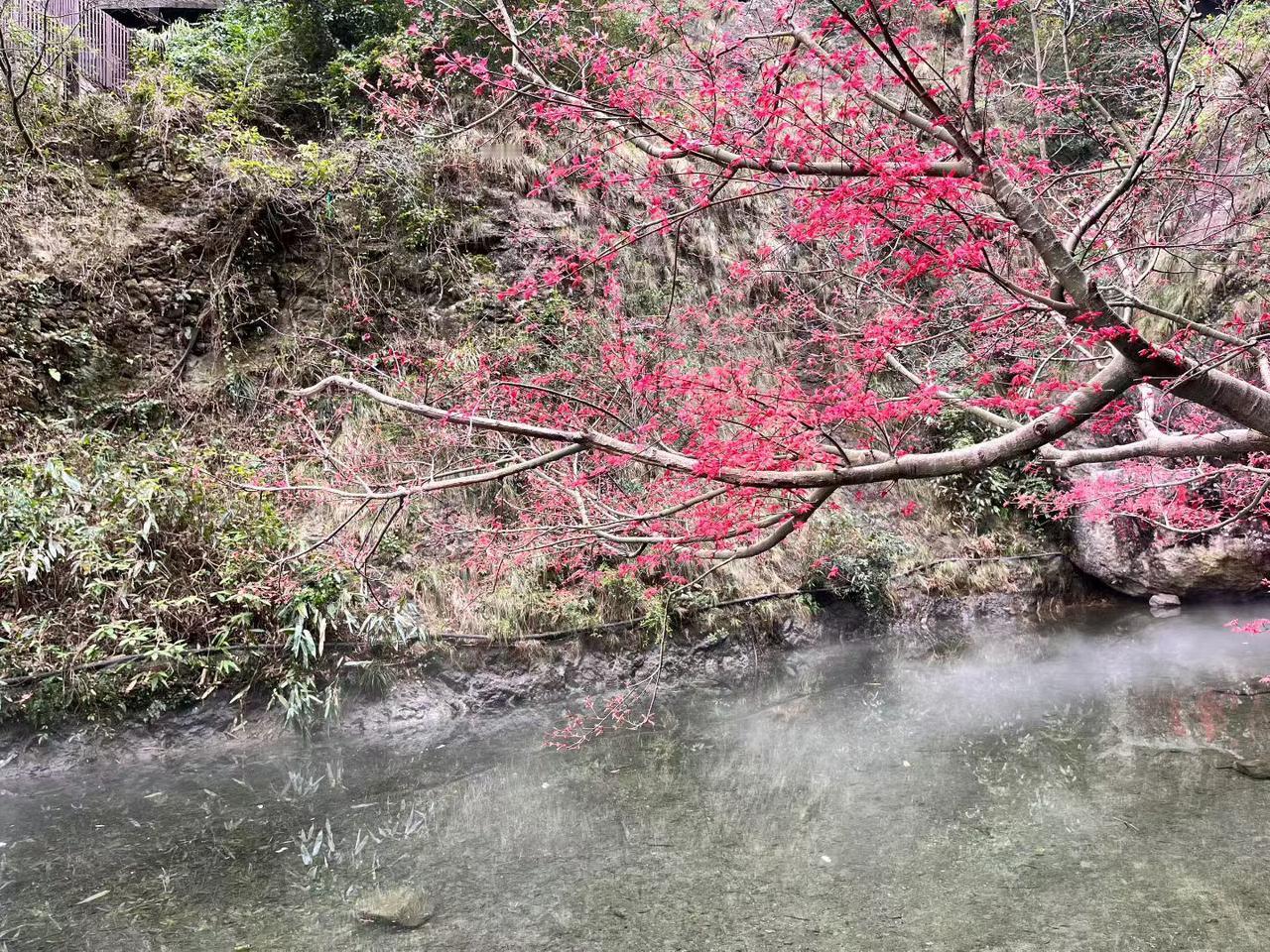 《江南春绝句》杜牧
千里莺啼绿映江，水村山郭酒旗风。
南朝四百八十寺，多少楼台烟
