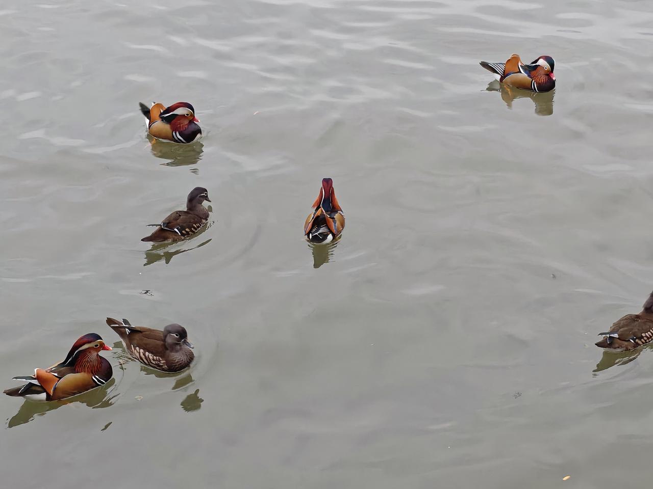 孤山是西湖北面天然小岛，有很多历史古迹，有雕塑，博物馆和纪念馆。引人注目的依然是