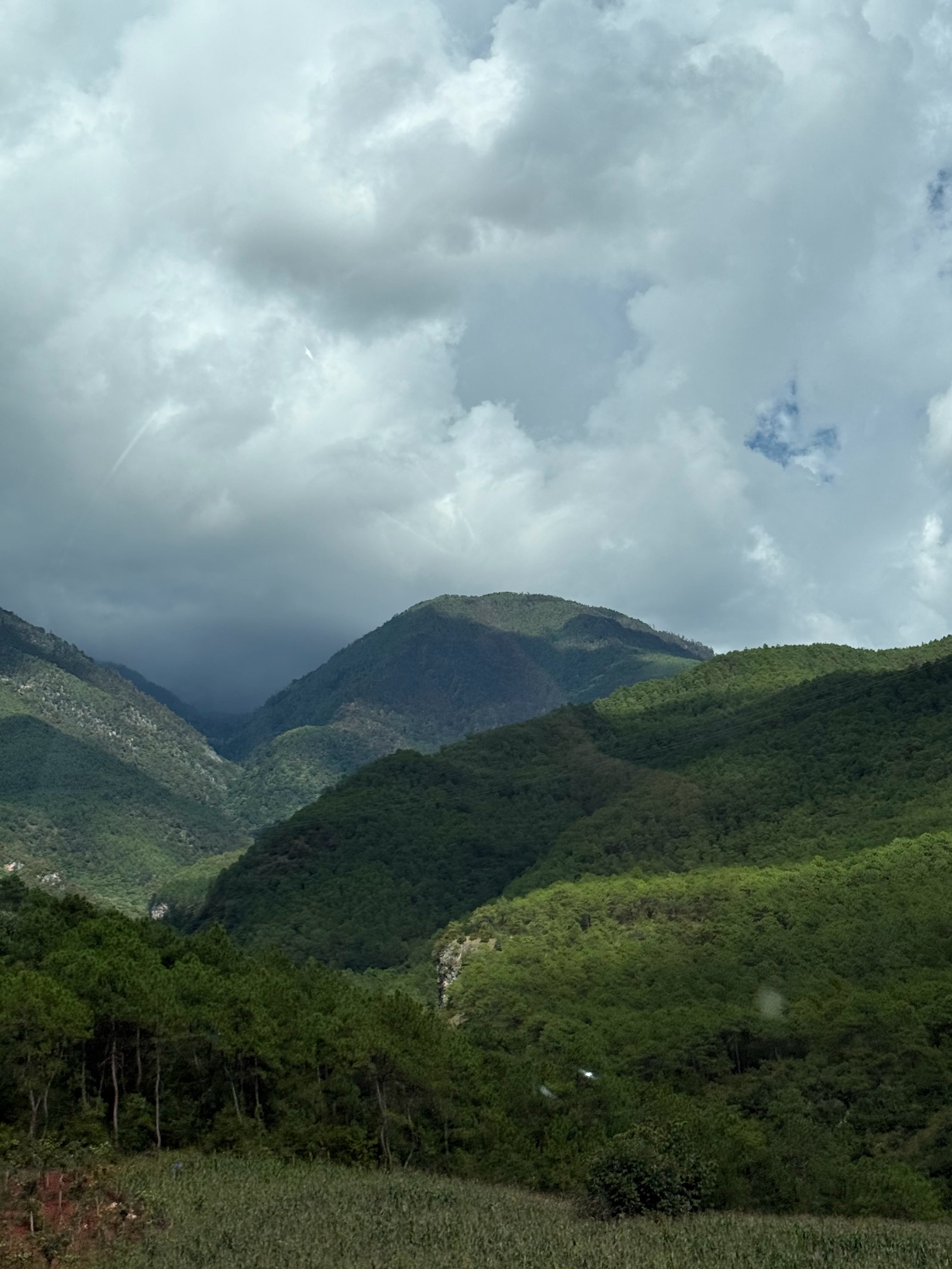 进山吸山气谁能不爱滇西北 ​​​