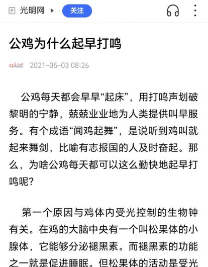 每天清晨天刚蒙蒙亮，村里的公鸡就准时扯开嗓子叫，几十年如一日。

你可能以为这是