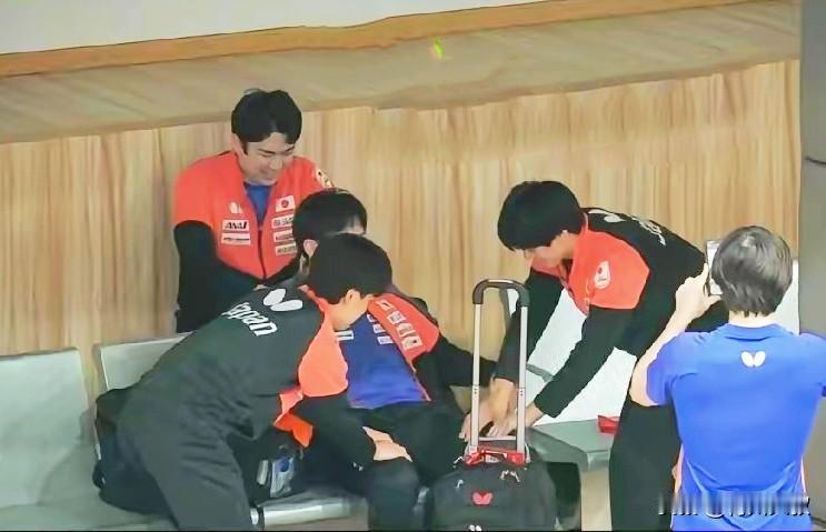 松岛辉空这次真成了少爷！
户上和大登这对多哈世乒赛男双冠军给他捏腿！

队医给他