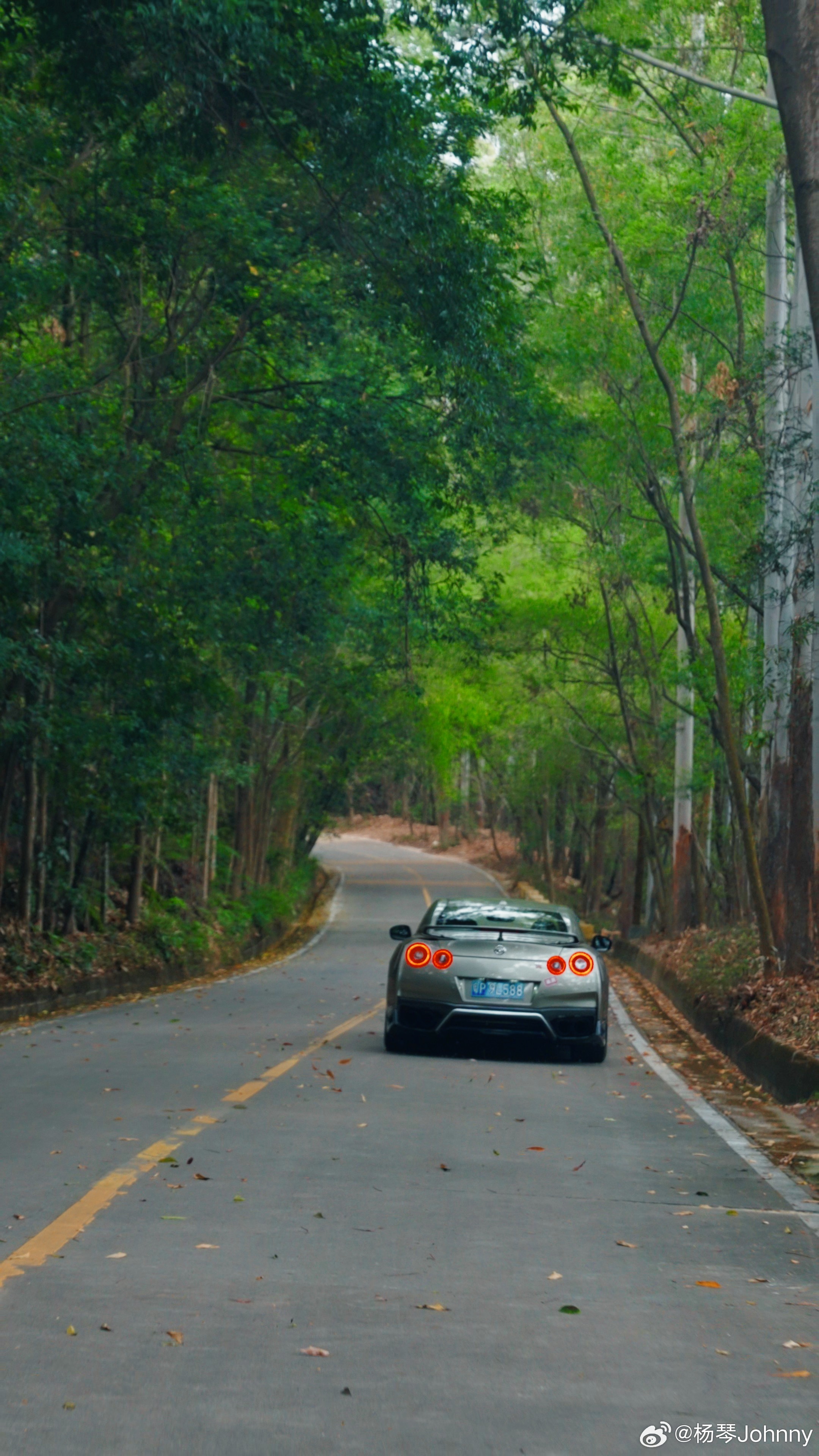 GTR的春天，特别有感觉全民拍车我与汽车的日常日产gtr