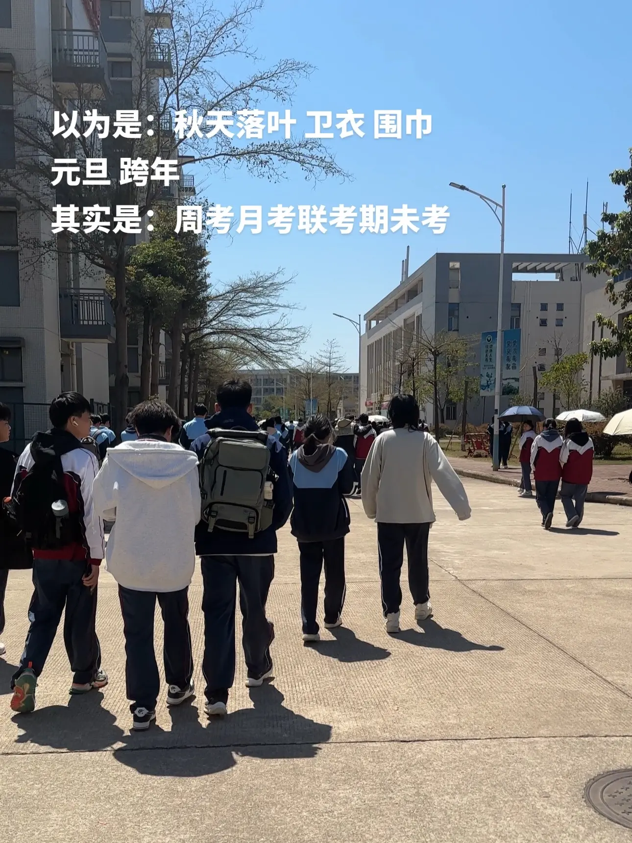 以为是：秋天落叶 卫衣 围巾 元旦 跨年 其实是：周考月考联考 期未考.