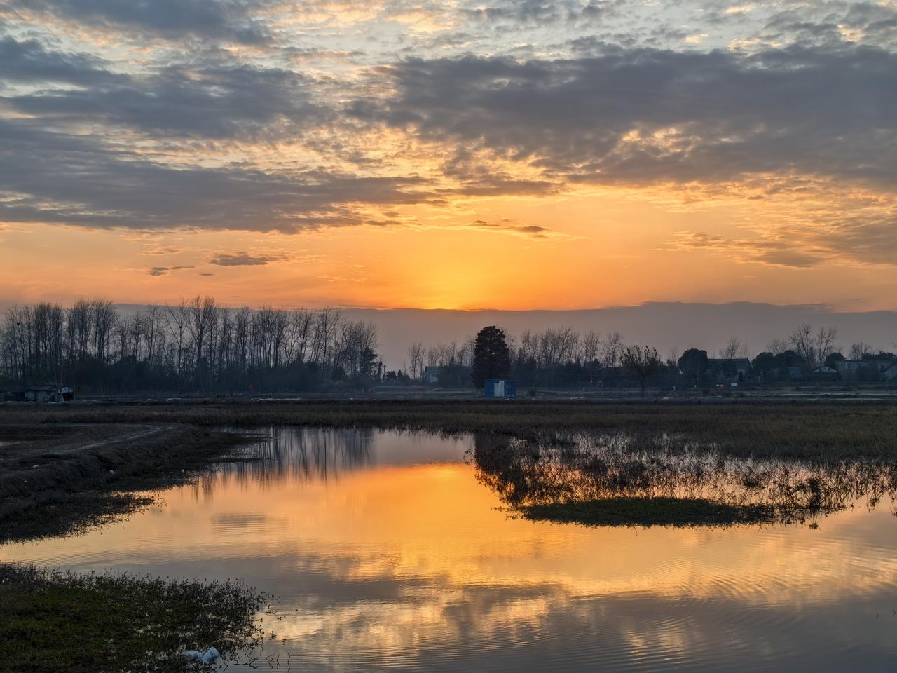 回老家寻亲

湖北省汉川市西江乡打雁村，是伙计老家，近十年没有来过这里了，此次年