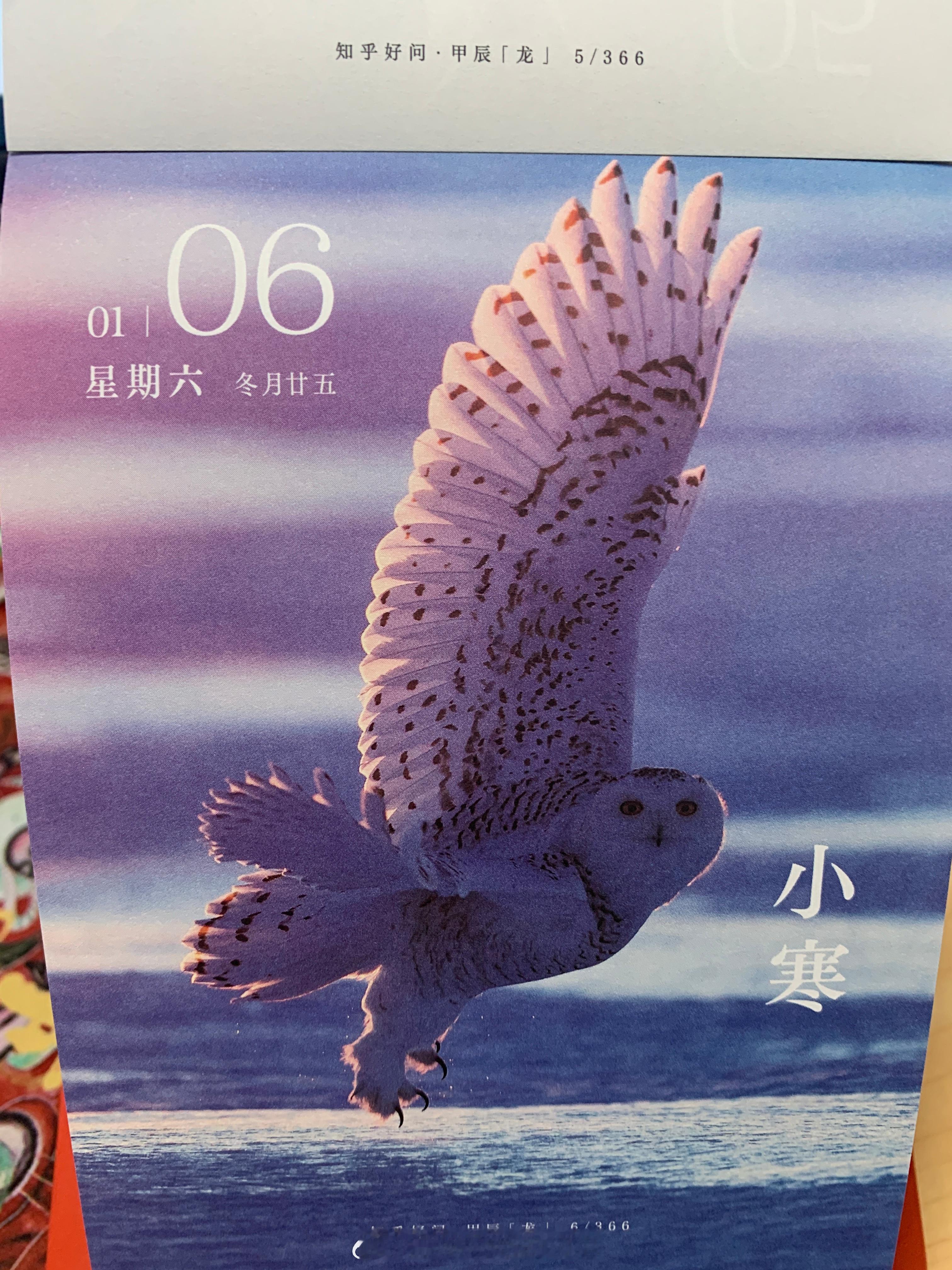 大家早上好～今日小寒，你那里多少度呢？ ​​​