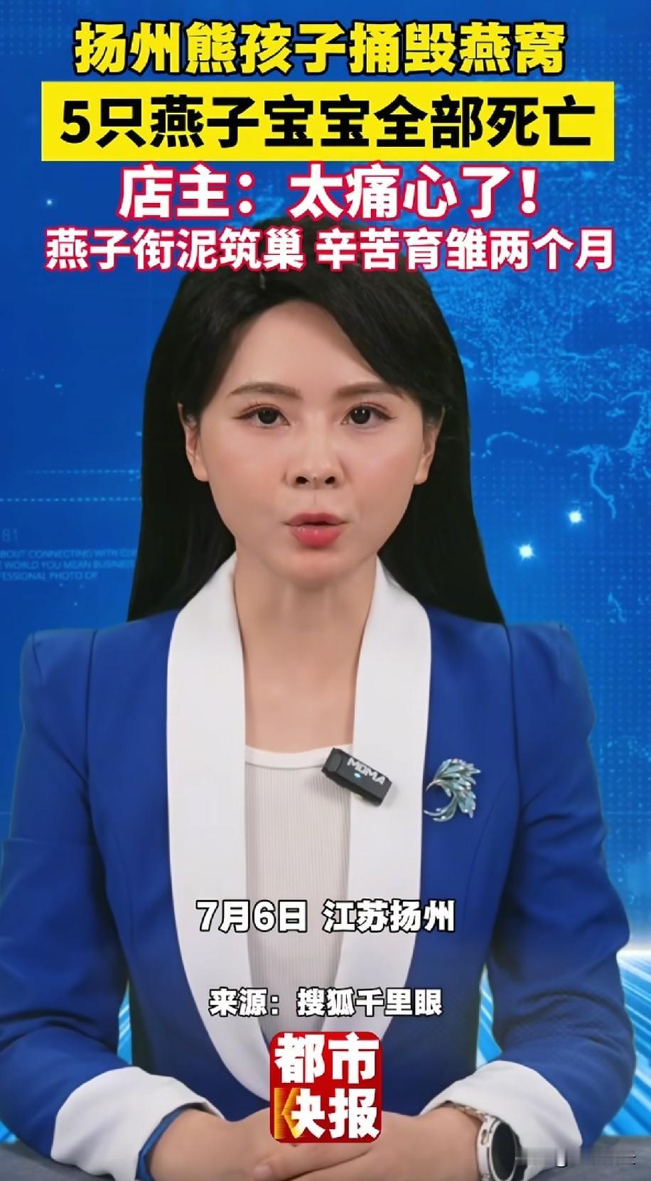 扬州女子屋檐下的燕子窝
被熊孩子给捅毁了
5只即将会飞的小燕子，也被这个小孩子给