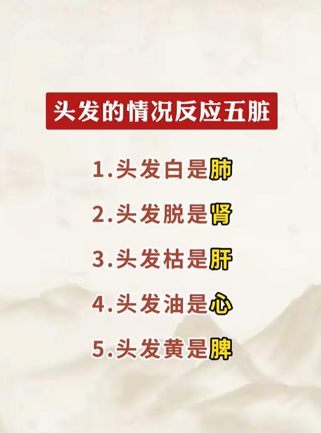 中医有 “望发诊察” 的思路，认为头发的荣枯和五脏气血津液密切相关，不同发质表现