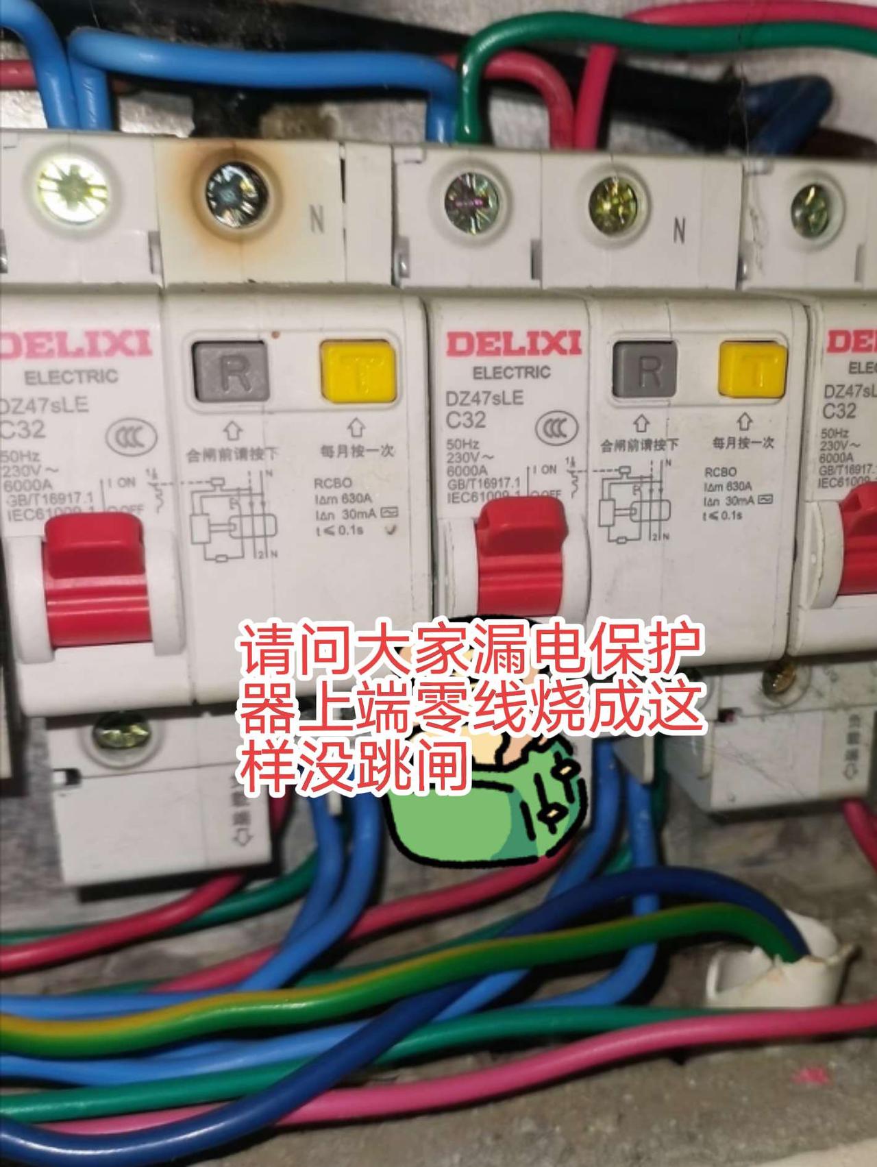请教大家，这个漏电保护器上端零线接线口，都烧成这样家里电器还能使用，为什么就不跳