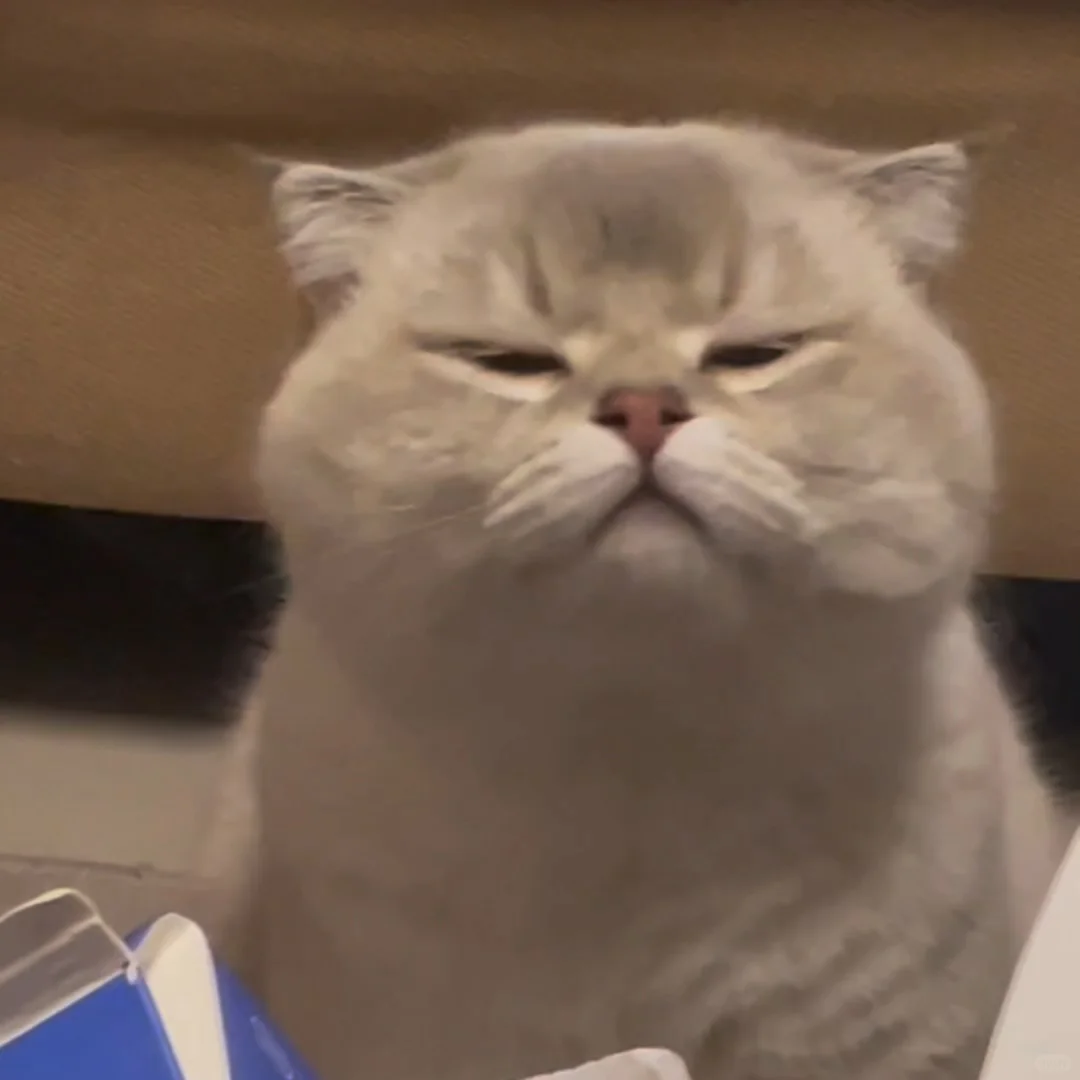 哪位姨姨蹲表情包来着？有啦！