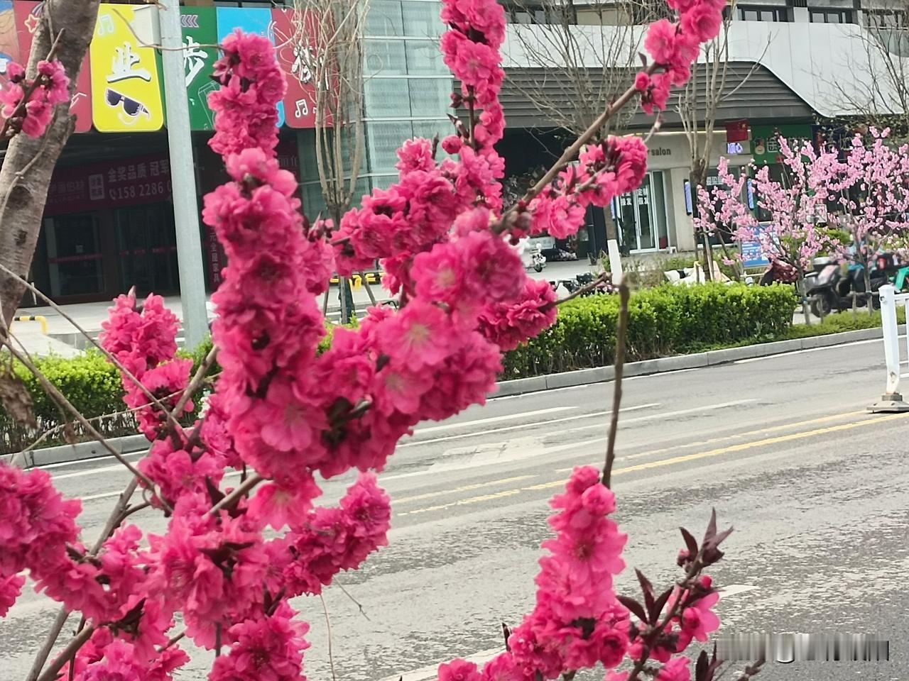 男人60岁之后,还会有感情吗?很多人觉得，人老了只剩柴米油盐，不再懂爱、不再动情