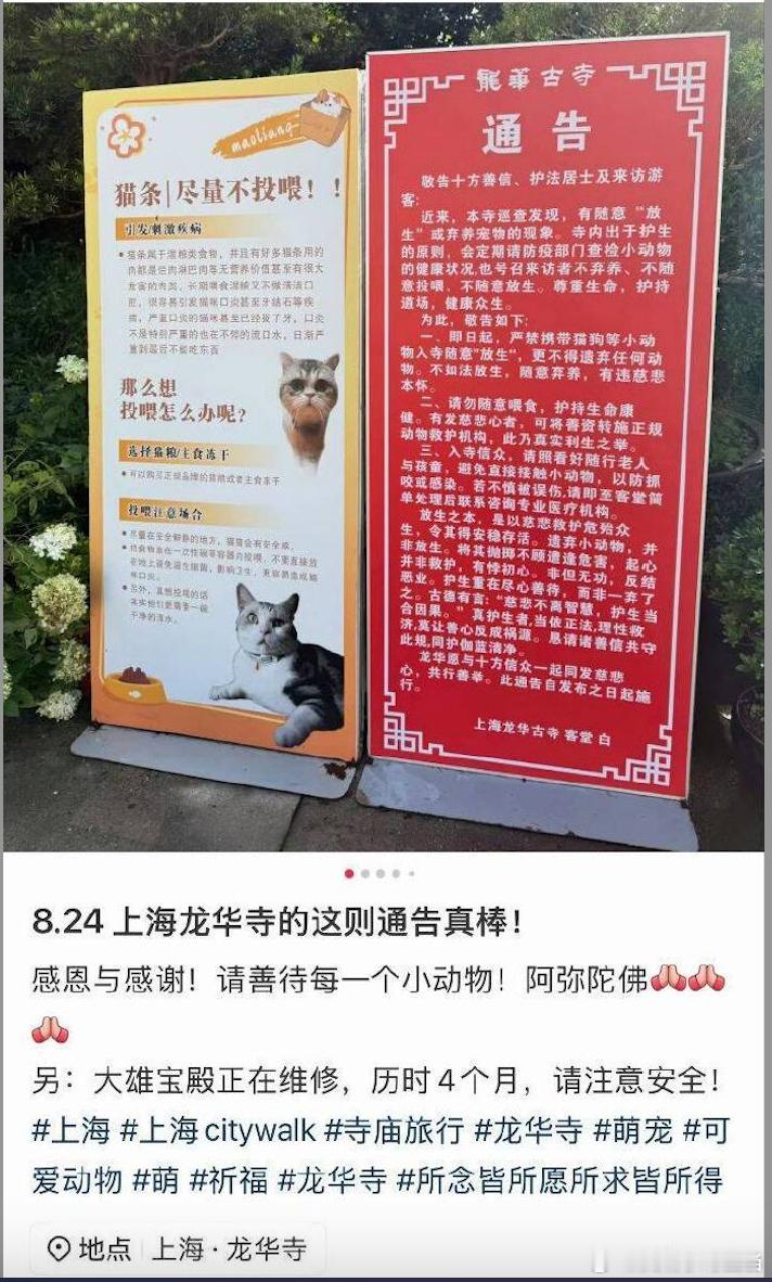在佛门喂流浪猫，猫粮冻干都有肉。怼着和尚的脸吃肉，欺负佛门不与世争，这些对猫犬有