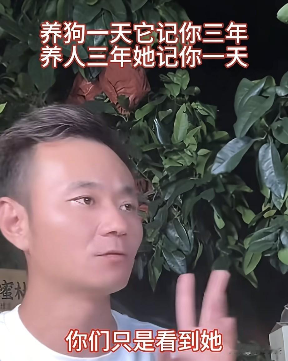 厉怀远已经表明了自己的态度，林丽不值得对她好，有她没她一样生活。
有没有发现，林