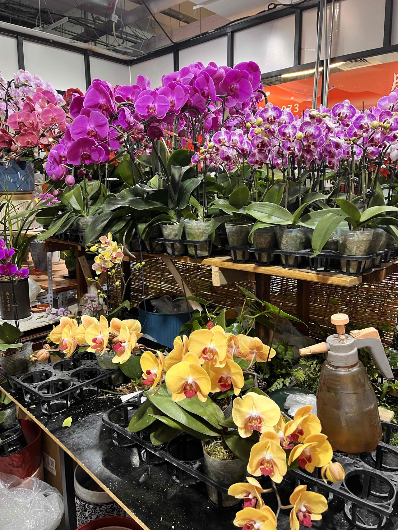 紫金矿业（601899）
国内有色矿业龙头，
主营金、铜，布局锂、钼等新能源金属