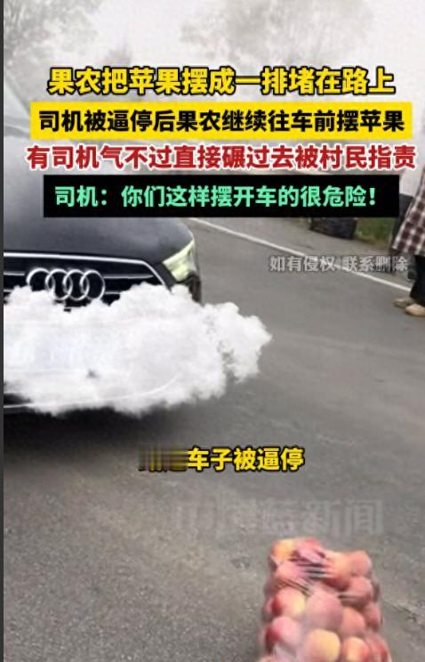 云南文旅一觉醒来天塌了!云南昭通，几个果农私自设卡，逼过往司机买苹果，不买不让走