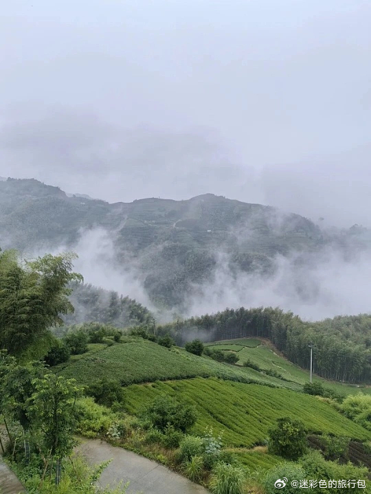 六月浙江山野正值颜值巅峰！莫干山雅致松弛，西白山草甸辽阔、星空绝美，黄茅尖原始清