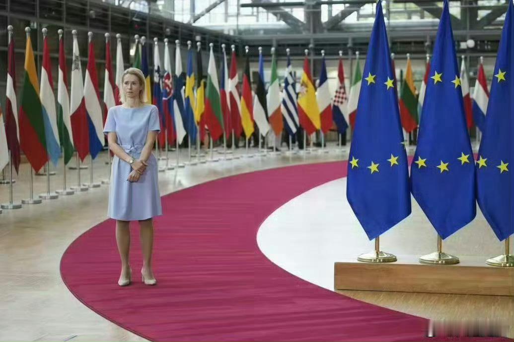 欧盟外长称，俄罗斯绝不能重返G8。 