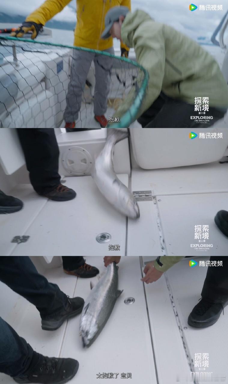 王一博对鱼喊baby好苏从热情招呼到诚恳道歉，这哪里是在钓鱼，分明是在演偶像剧，