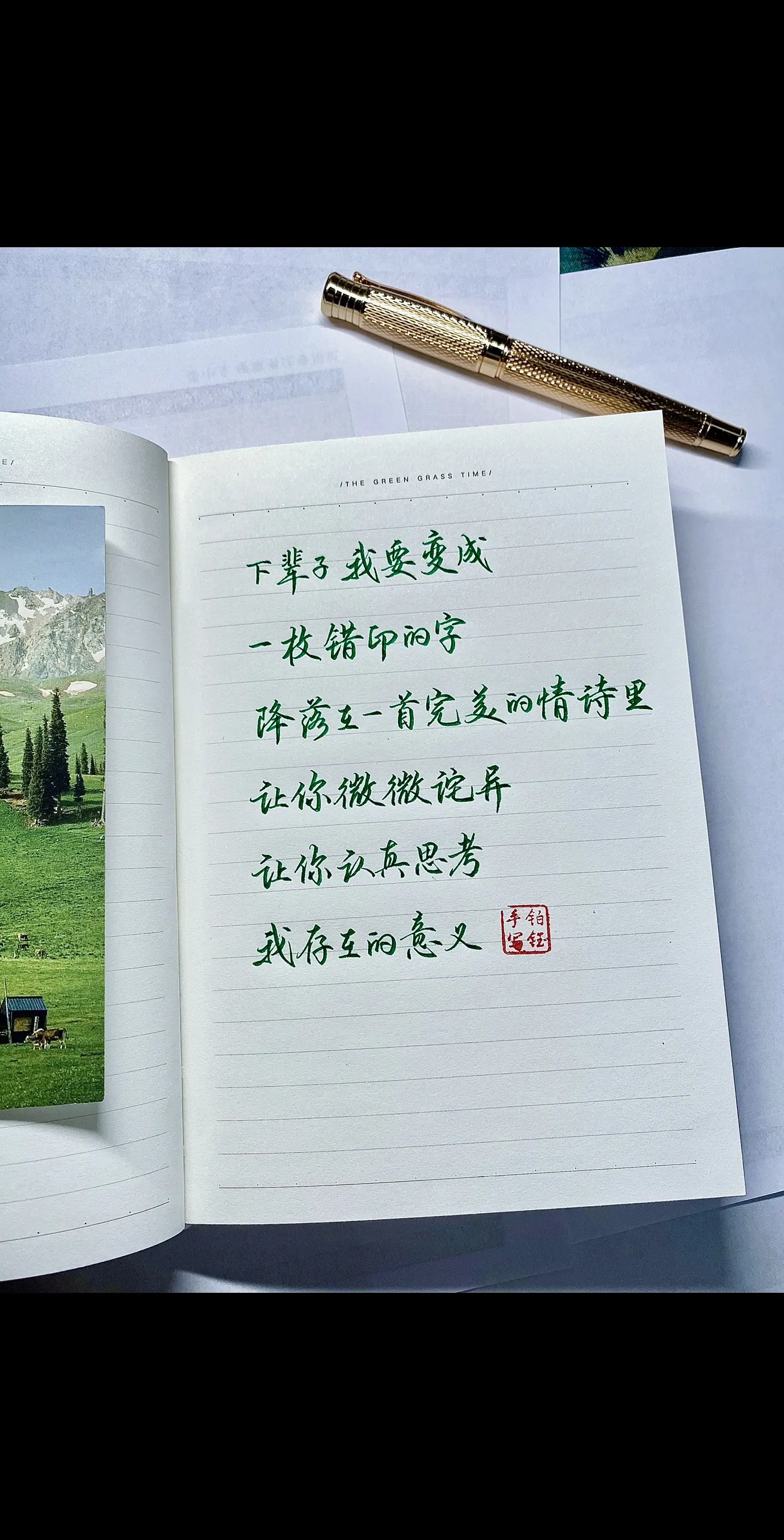 笔：扬子鳄996亮金 本：青禾纪